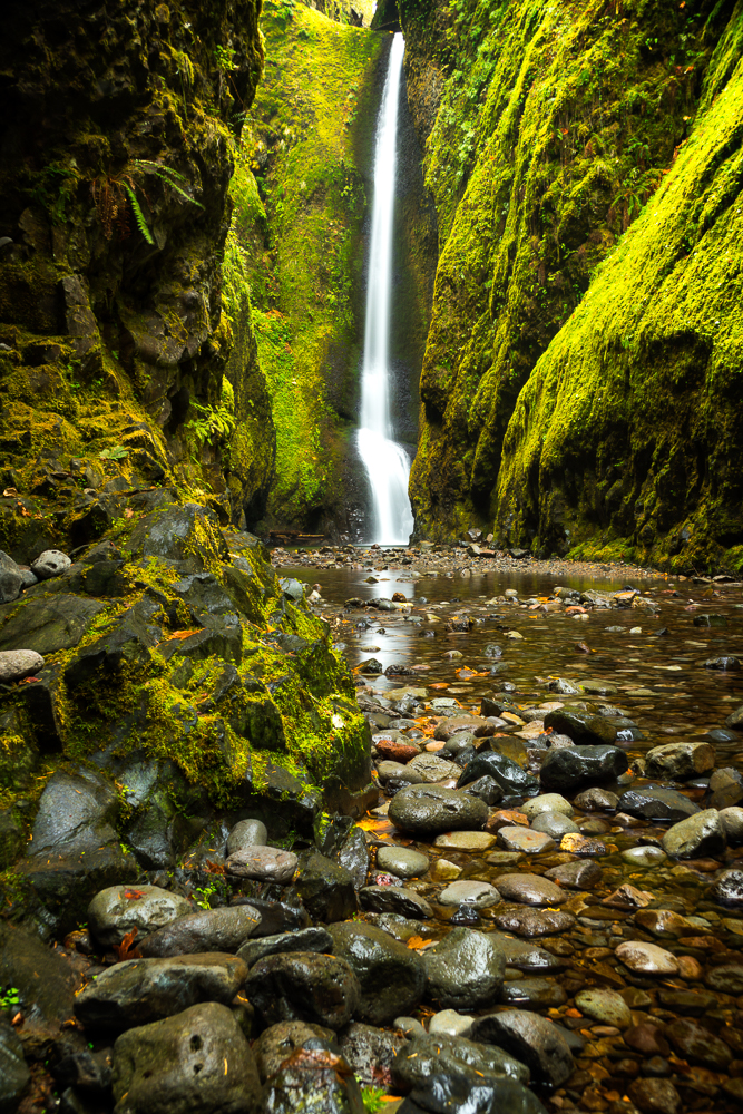 Oneonta Gorge 1