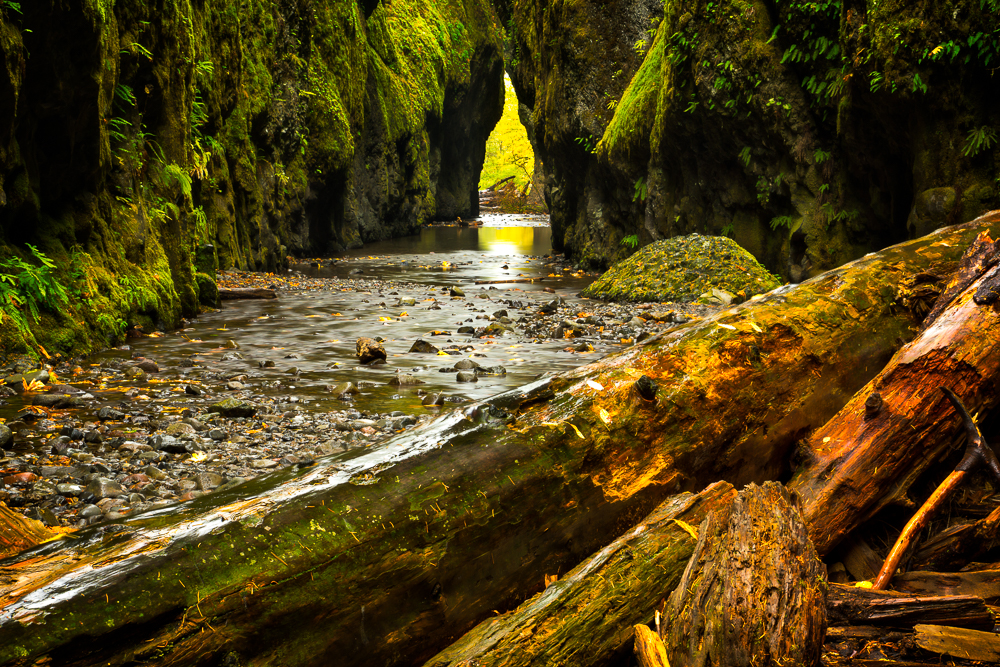 Oneonta Gorge 6